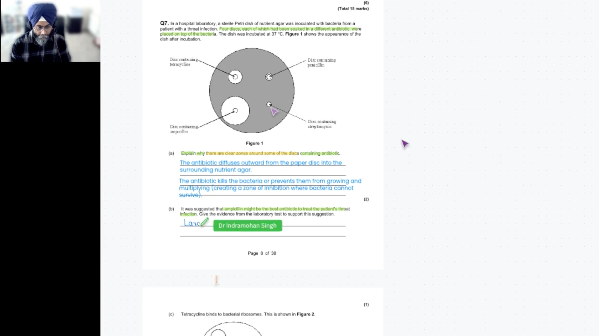 Live VCE Biology lesson with annotated feedback on antibiotic resistance