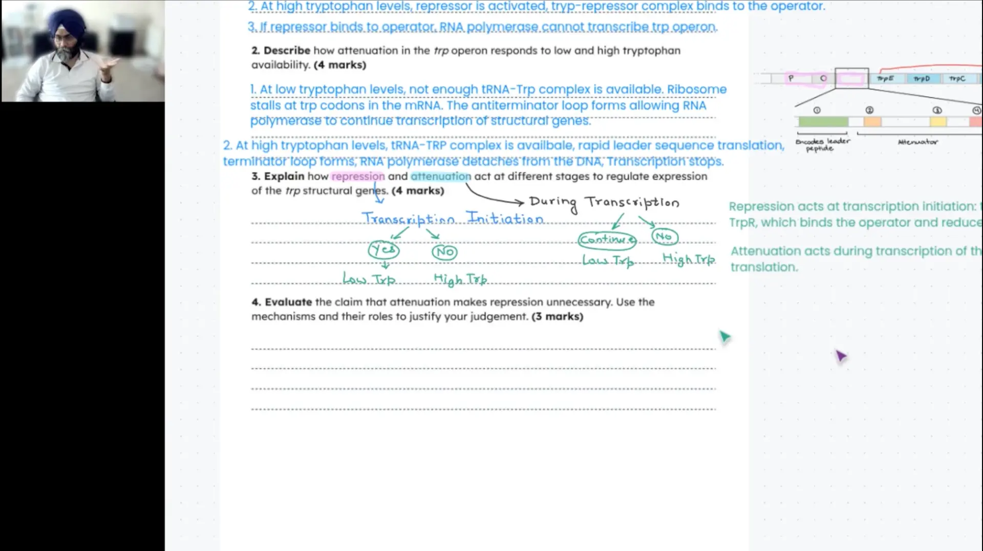 Live VCE Biology lesson showing annotated feedback on gene regulation and the trp operon